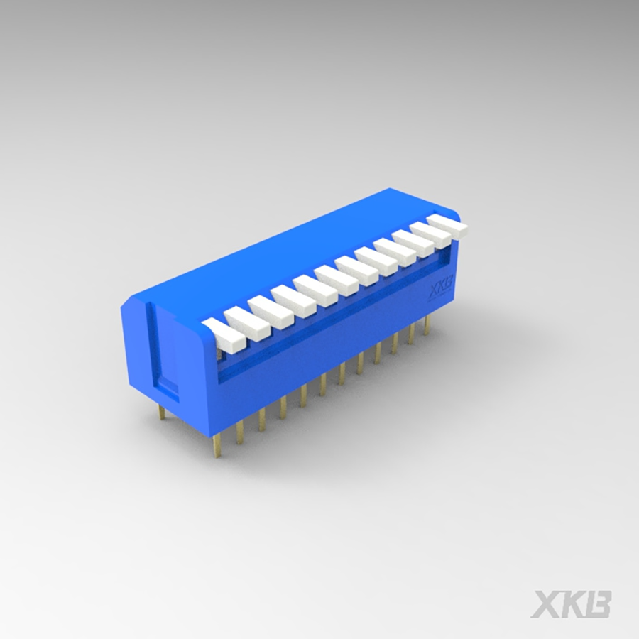 DPL-12BLP-XKB Connectivity